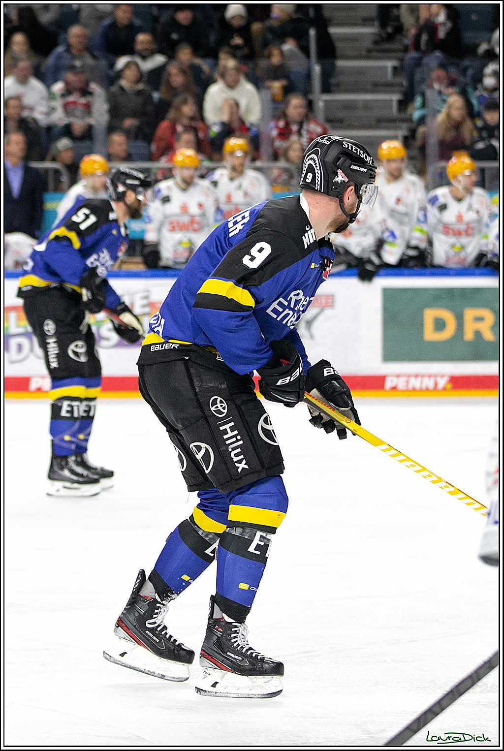 PENNY DEL; Koelner Haie- Fishtown Pinguins Bremerhaven; Koeln, 23.11.2021